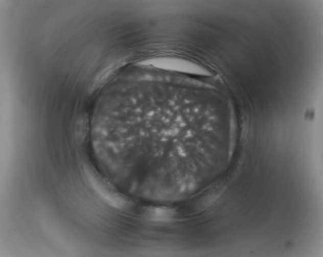 X0000113950165200910232014