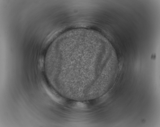 X0000113950166200910232014