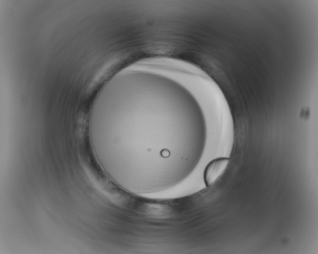 X0000113950167200910232014