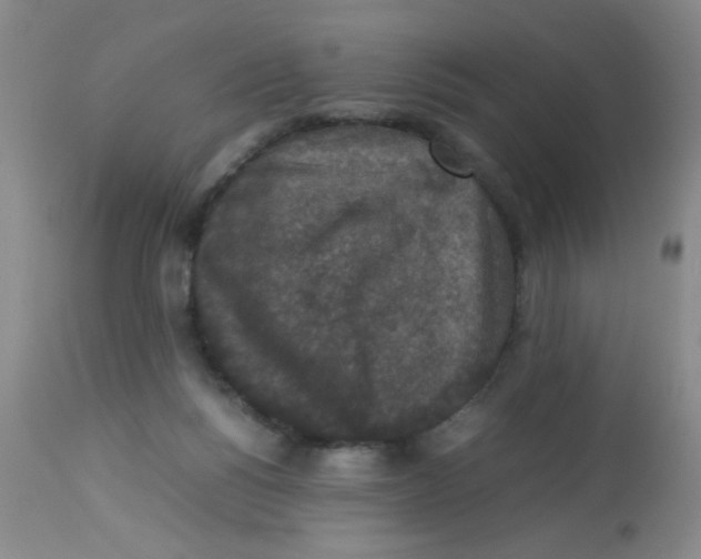 X0000113950168200910232014