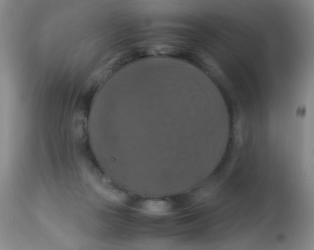 X0000113950169200910232014