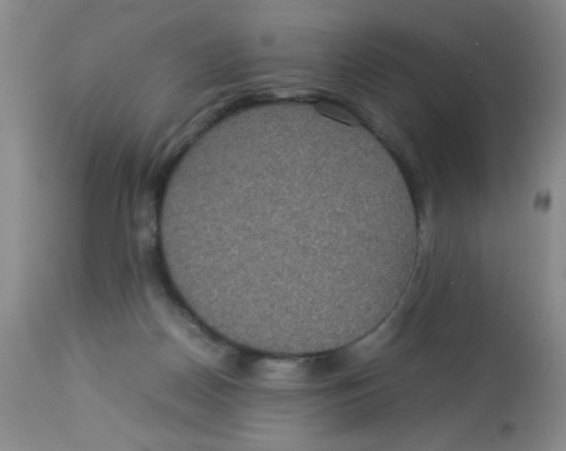 X0000113950170200910232014