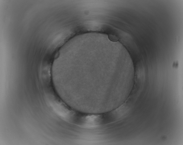 X0000113950172200910232014