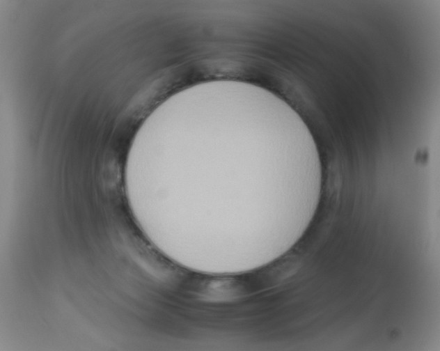 X0000113950173200910232014