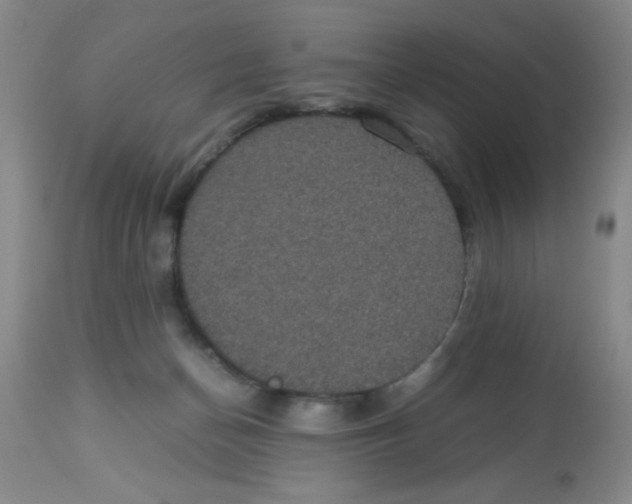 X0000113950174200910232014