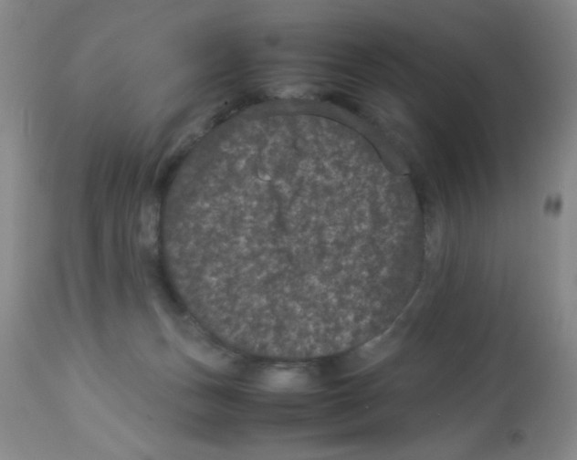 X0000113950175200910232014