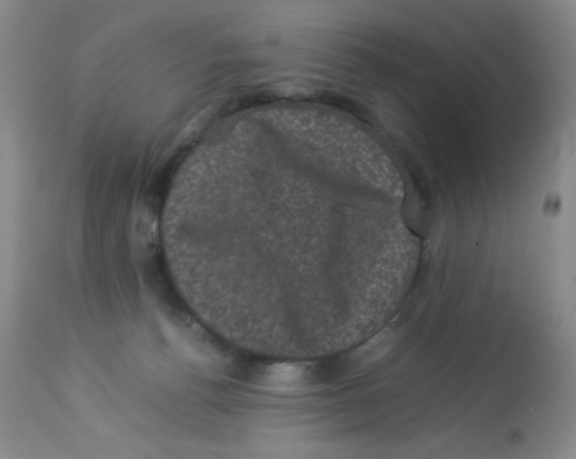 X0000113950176200910232014