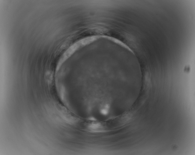 X0000113950177200910232014