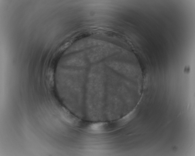X0000113950178200910232014