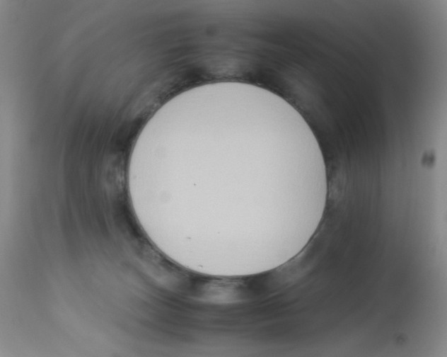 X0000113950179200910232014