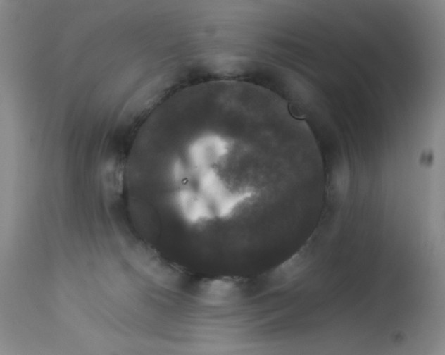 X0000113950180200910232014