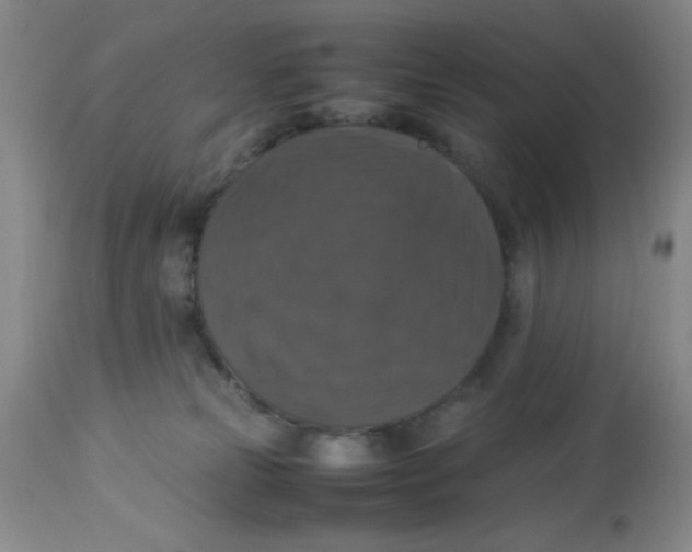 X0000113950181200910232014