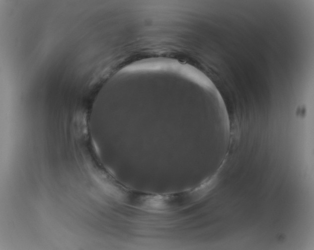 X0000113950182200910232014