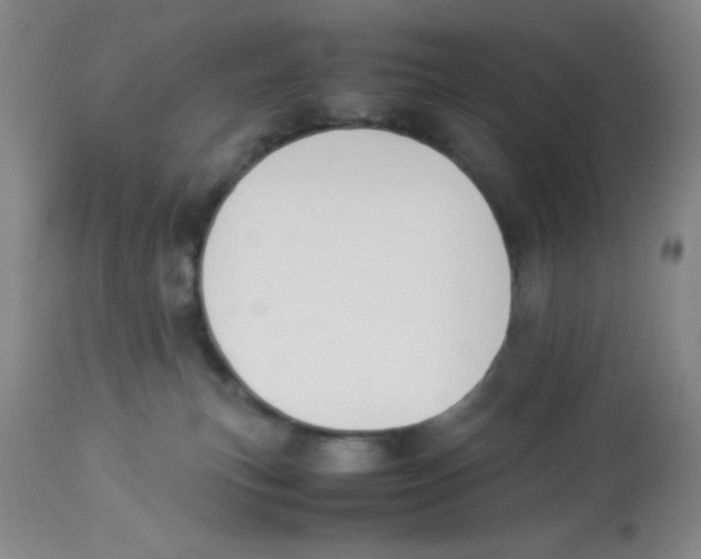 X0000113950183200910232014
