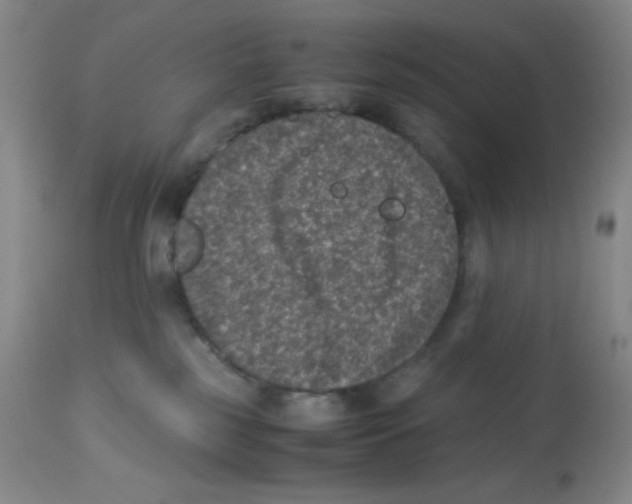 X0000113950185200910232015