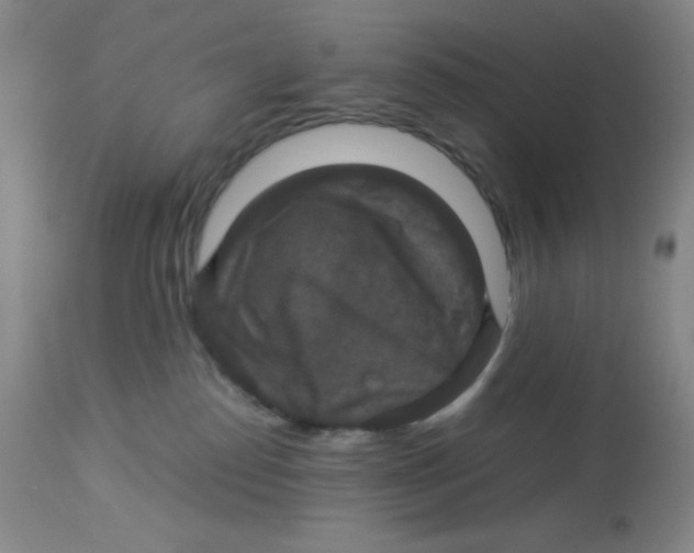 X0000113950186200910232015
