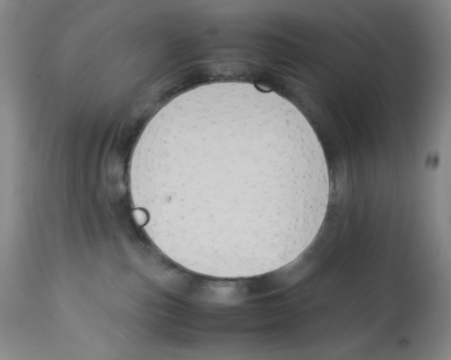 X0000113950187200910232015