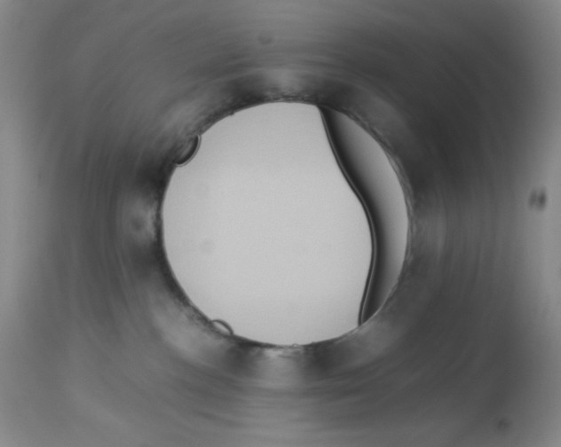 X0000113950188200910232015