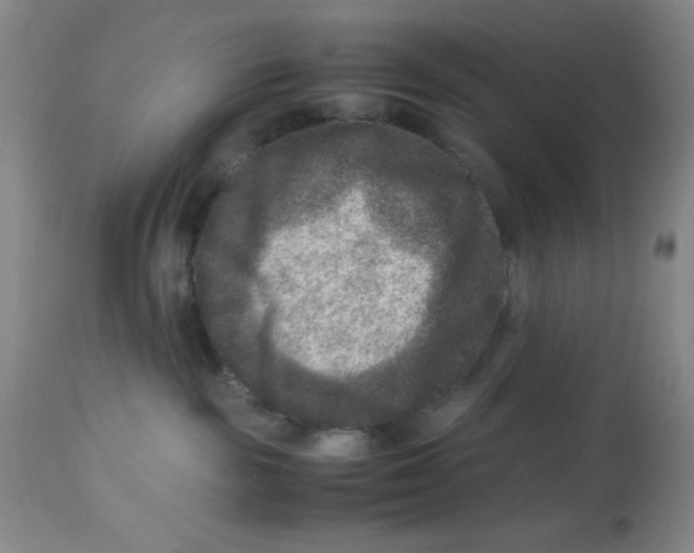 X0000113950189200910232015