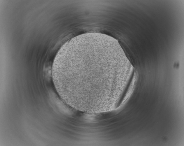 X0000113950190200910232015