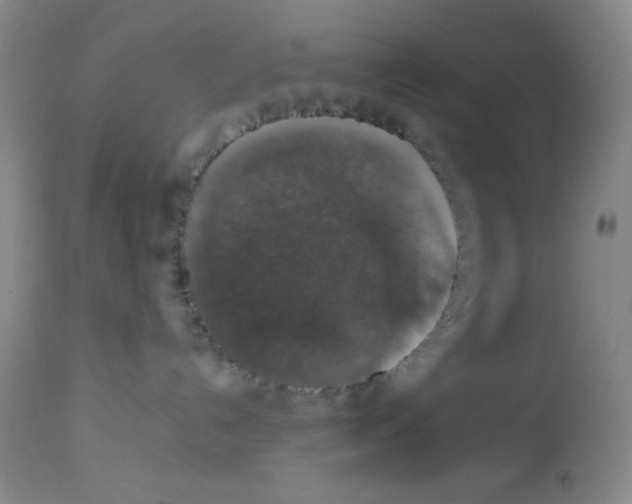 X0000113950192200910232015