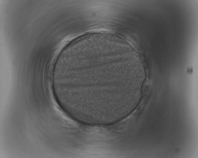 X0000113950193200910232014