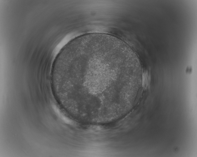 X0000113950195200910232014