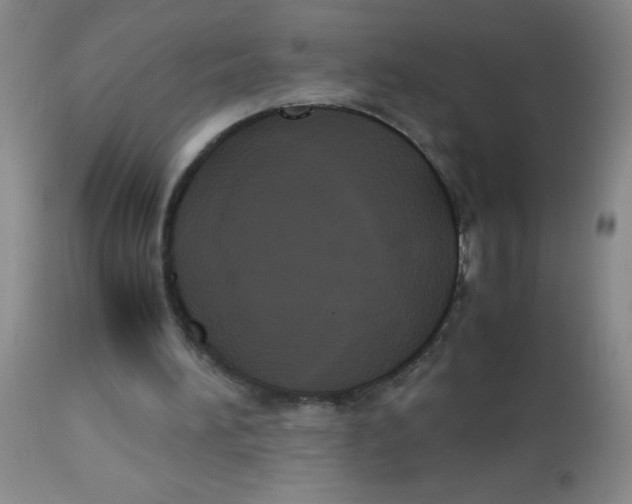 X0000113950196200910232014