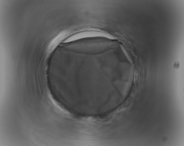 X0000113950197200910232014