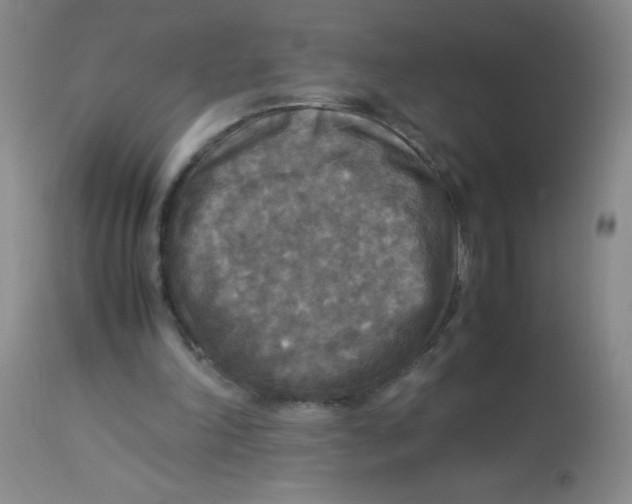 X0000113950198200910232014