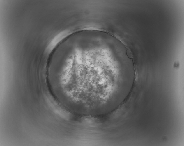 X0000113950199200910232014