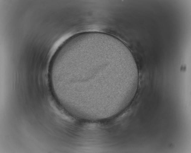 X0000113950200200910232014