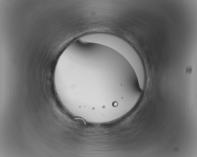 X0000113950201200910232014