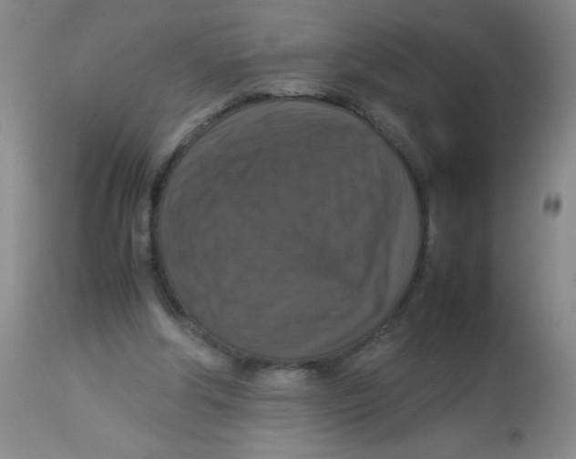 X0000113950202200910232014