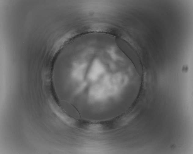 X0000113950203200910232014