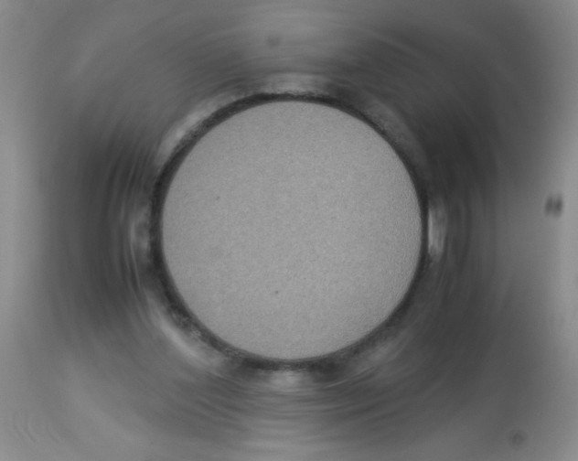 X0000113950204200910232014