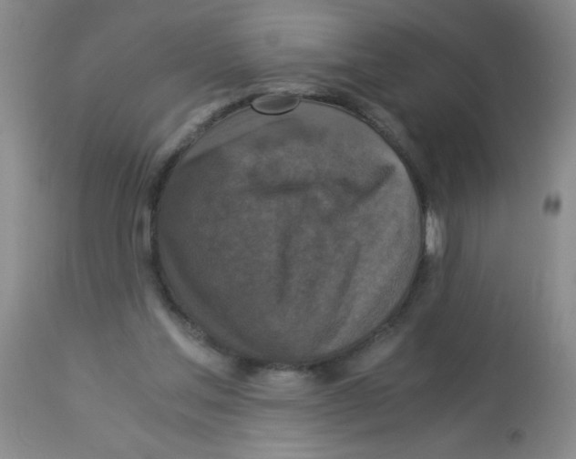 X0000113950205200910232014