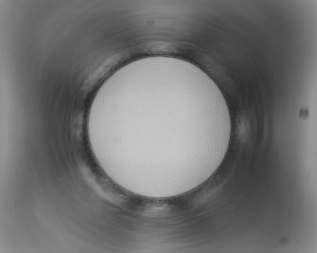X0000113950206200910232014