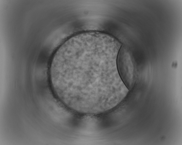 X0000113950207200910232014