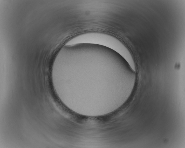 X0000113950209200910232014