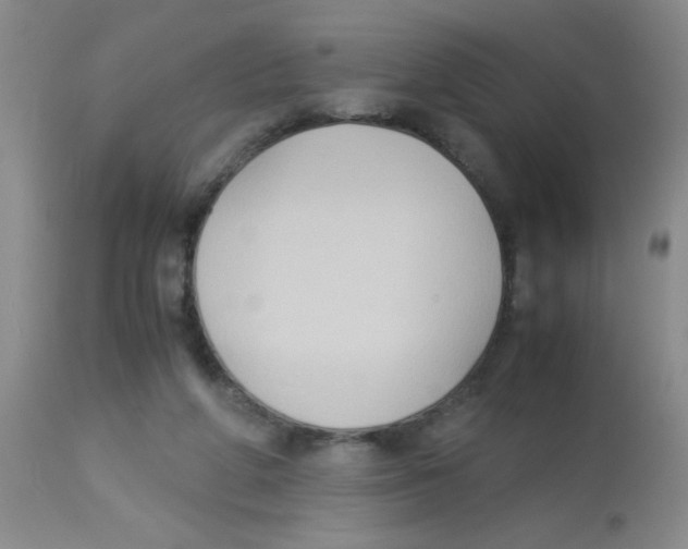 X0000113950210200910232014