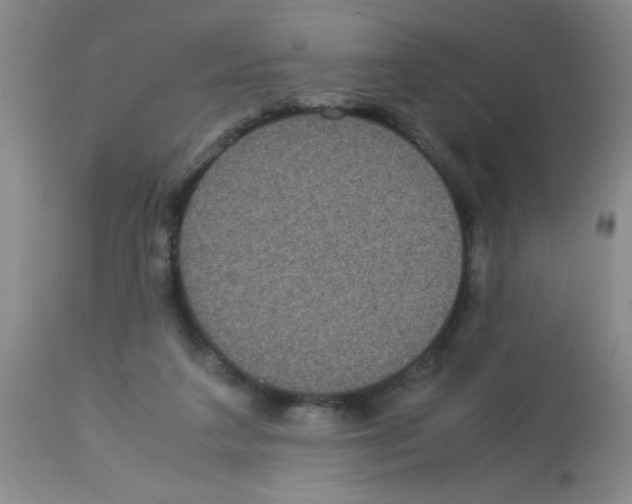 X0000113950211200910232014