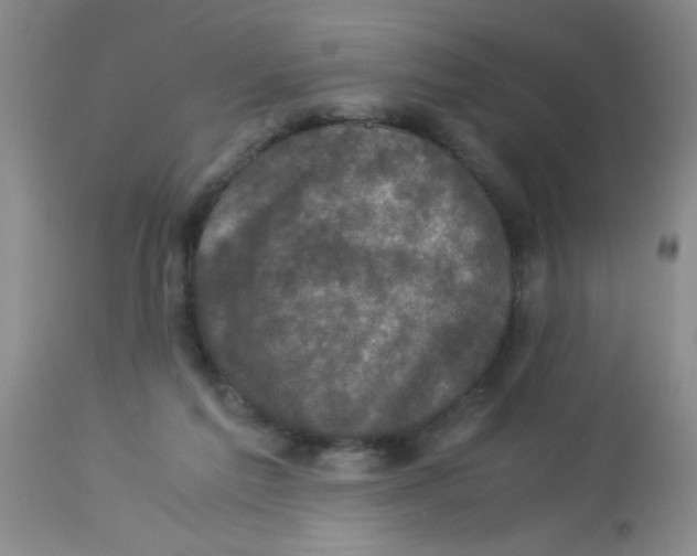 X0000113950213200910232014