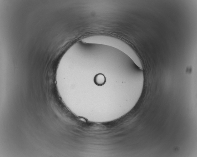 X0000113950215200910232014