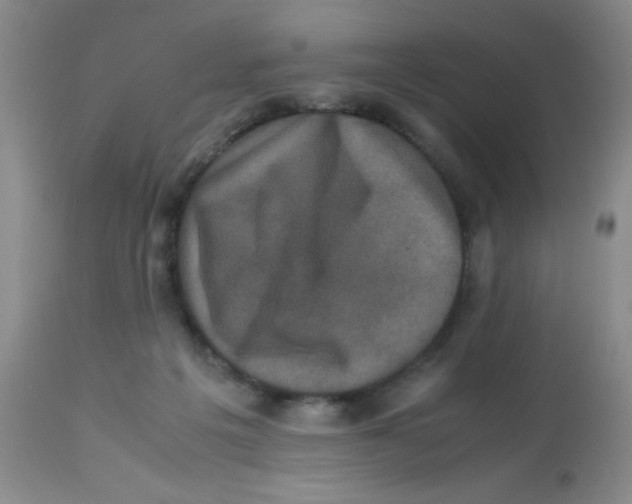 X0000113950217200910232014