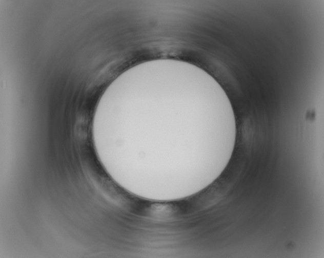 X0000113950218200910232014