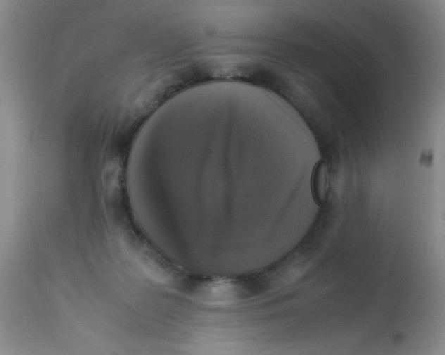 X0000113950219200910232014