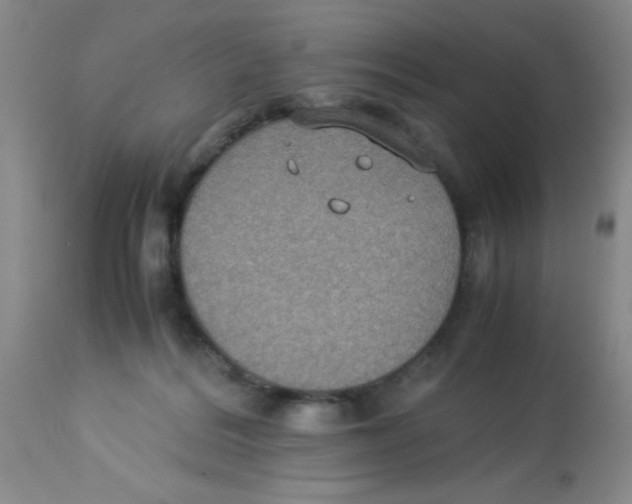 X0000113950220200910232014