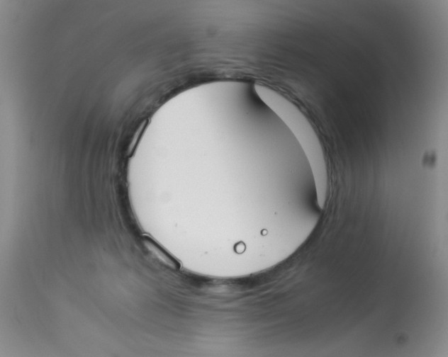 X0000113950221200910232014
