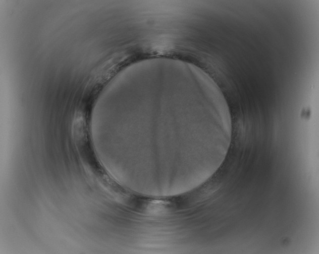 X0000113950222200910232014